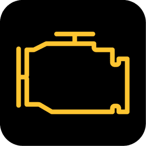 Check engine light