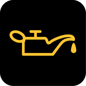 Oil Warning Light